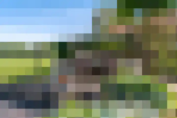 Boarnsylsterwei 34 Jelsum thumbnail 41