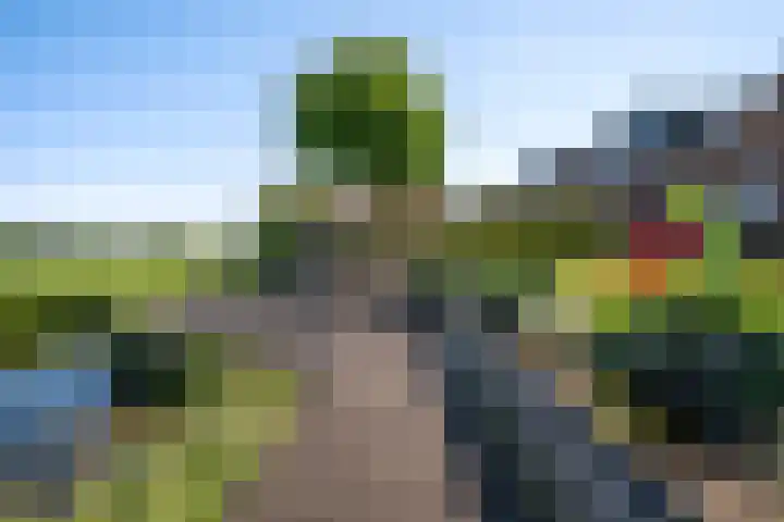 Boarnsylsterwei 34 Jelsum thumbnail 42