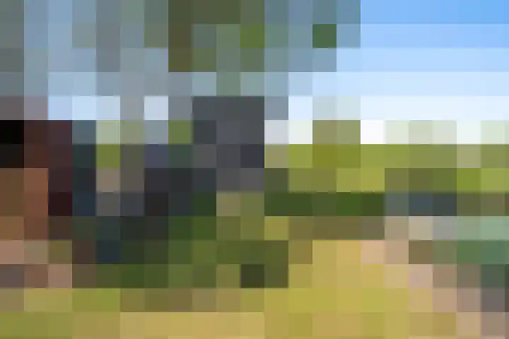 Boarnsylsterwei 34 Jelsum thumbnail 45