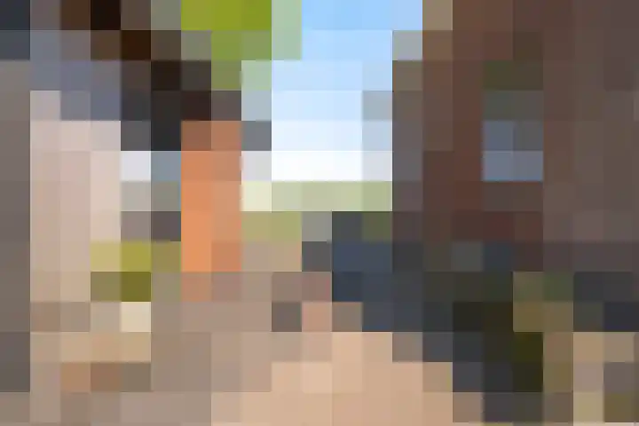 Boarnsylsterwei 34 Jelsum thumbnail 46