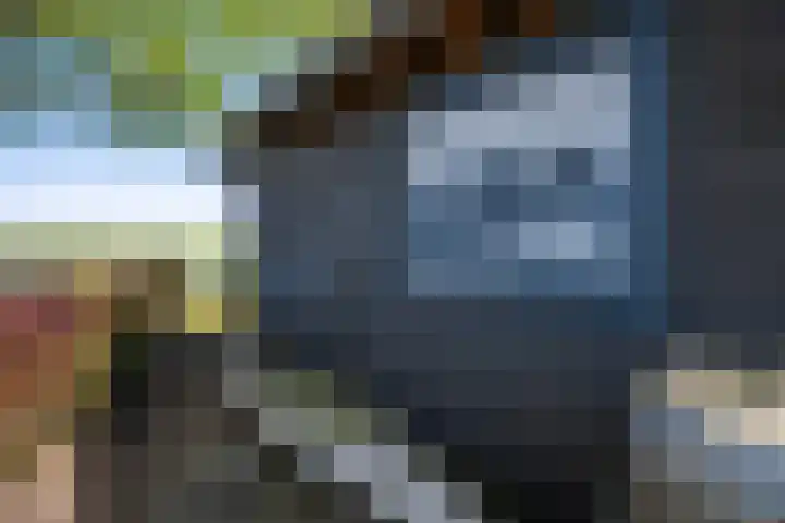 Boarnsylsterwei 34 Jelsum thumbnail 49