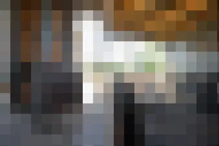 Boarnsylsterwei 34 Jelsum thumbnail 51