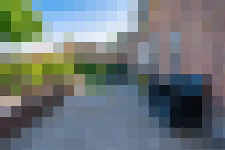 Boarnsylsterwei 34 Jelsum thumbnail 52