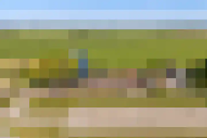 Boarnsylsterwei 34 Jelsum thumbnail 54