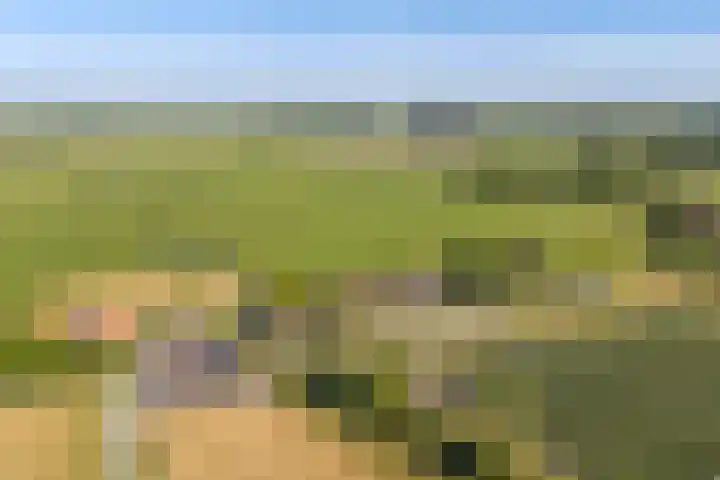 Boarnsylsterwei 34 Jelsum thumbnail 55