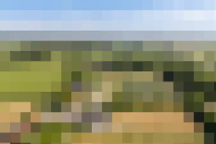 Boarnsylsterwei 34 Jelsum thumbnail 56
