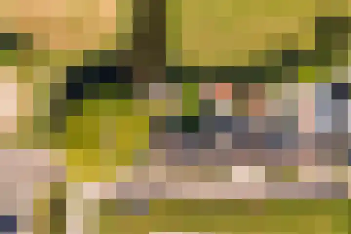 Boarnsylsterwei 34 Jelsum thumbnail 57