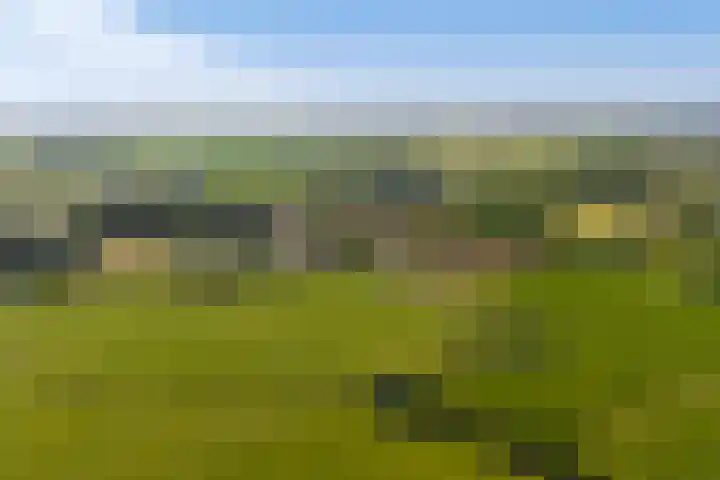 Boarnsylsterwei 34 Jelsum thumbnail 58