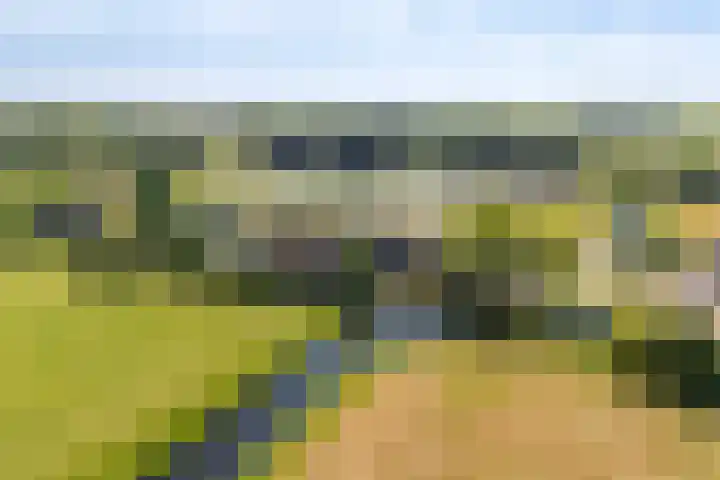 Boarnsylsterwei 34 Jelsum thumbnail 59