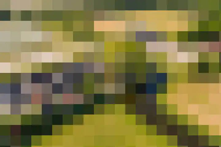 Boarnsylsterwei 34 Jelsum thumbnail 60