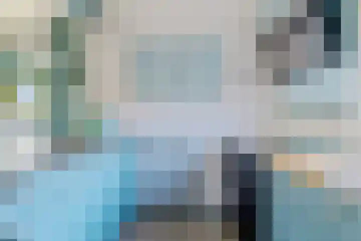 Boarskulp 16 Stiens thumbnail 10