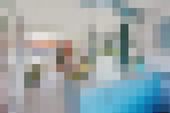 Boarskulp 16 Stiens thumbnail 11