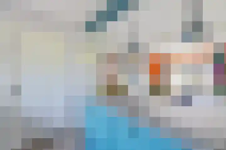 Boarskulp 16 Stiens thumbnail 12