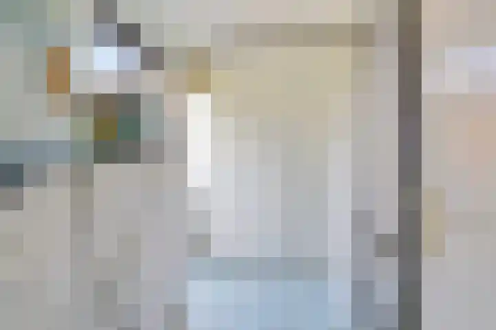 Boarskulp 16 Stiens thumbnail 13