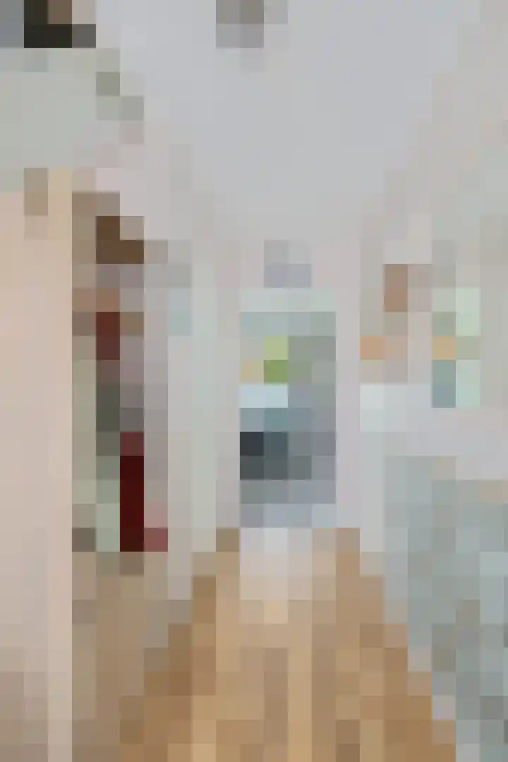 Boarskulp 16 Stiens thumbnail 14