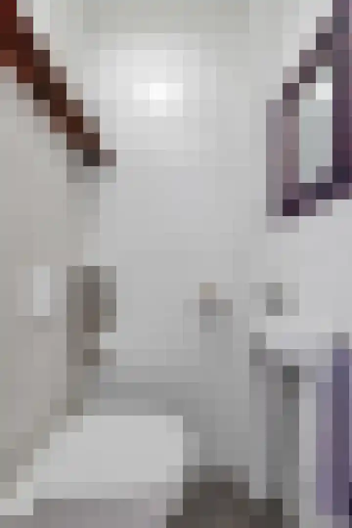 Boarskulp 16 Stiens thumbnail 16