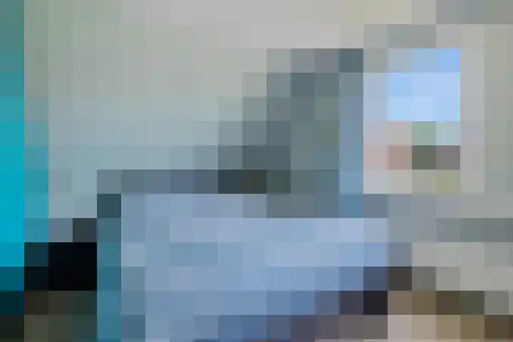 Boarskulp 16 Stiens thumbnail 17