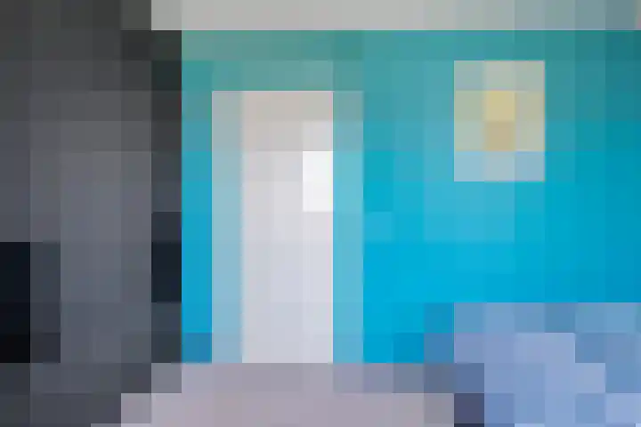 Boarskulp 16 Stiens thumbnail 18