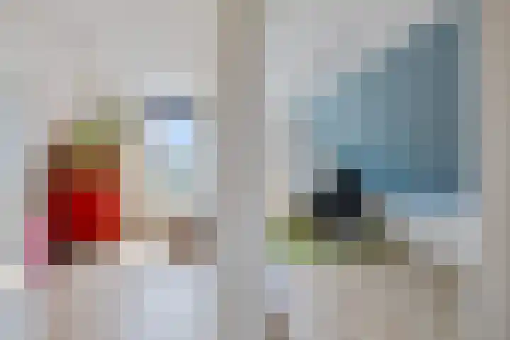 Boarskulp 16 Stiens thumbnail 19