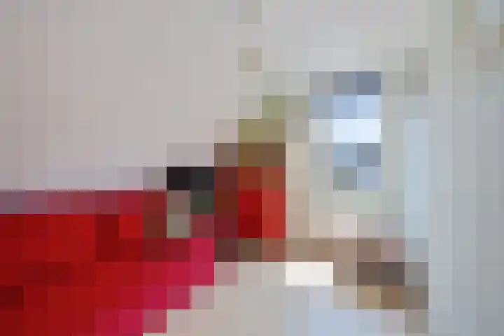 Boarskulp 16 Stiens thumbnail 20