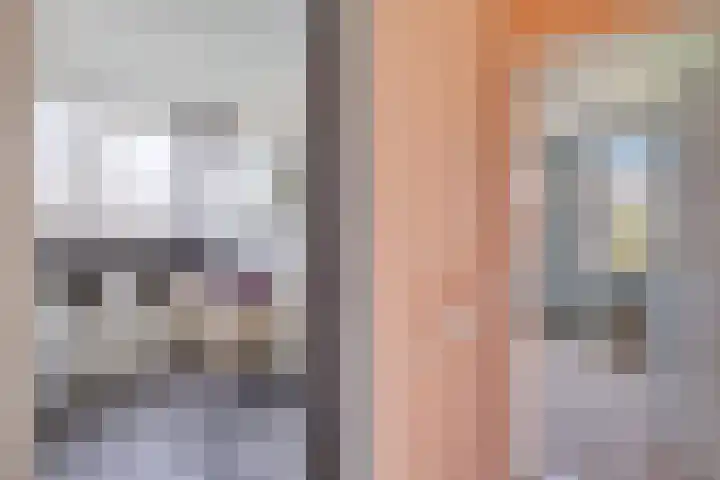 Boarskulp 16 Stiens thumbnail 23