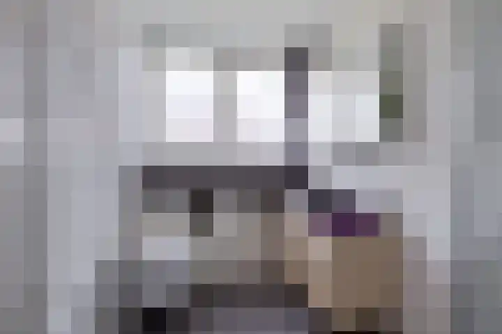 Boarskulp 16 Stiens thumbnail 24