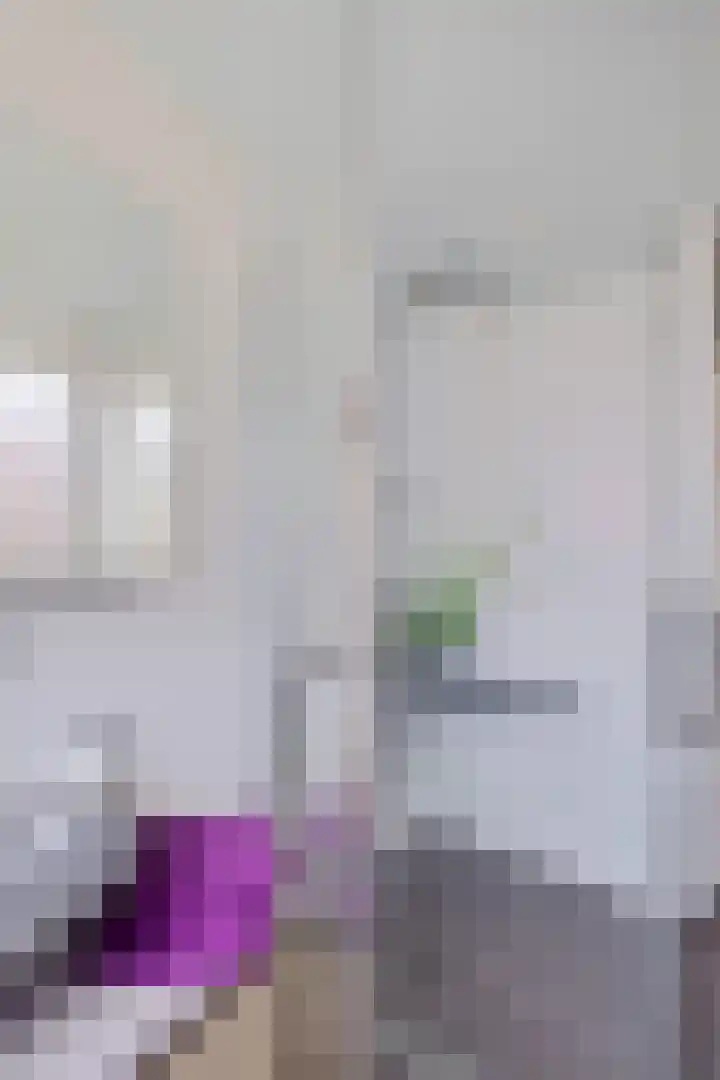 Boarskulp 16 Stiens thumbnail 25