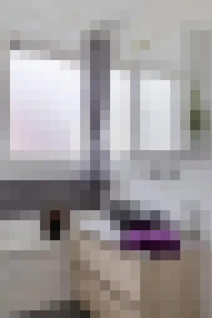 Boarskulp 16 Stiens thumbnail 26