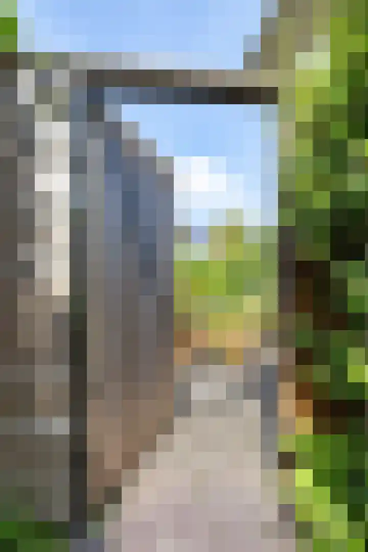 Boarskulp 16 Stiens thumbnail 38