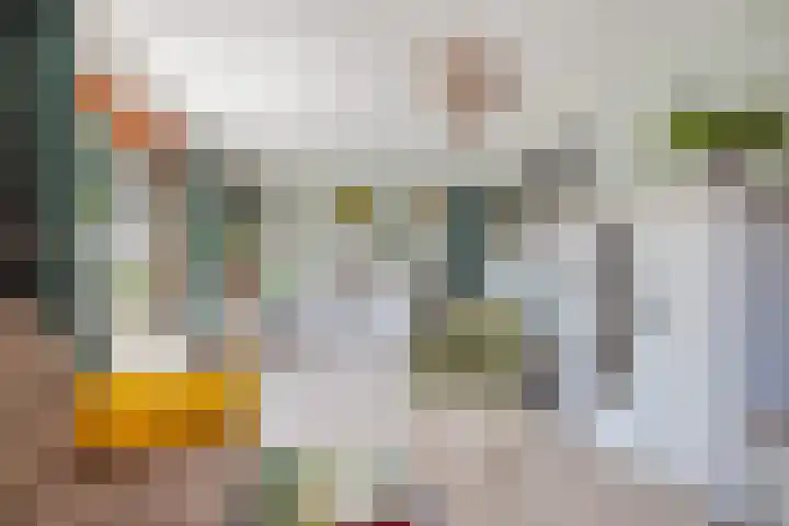 Boarskulp 16 Stiens thumbnail 4