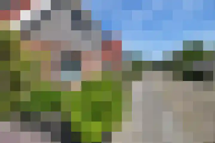 Boarskulp 16 Stiens thumbnail 40