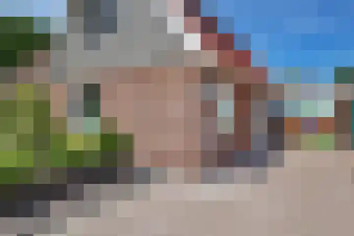 Boarskulp 16 Stiens thumbnail 42