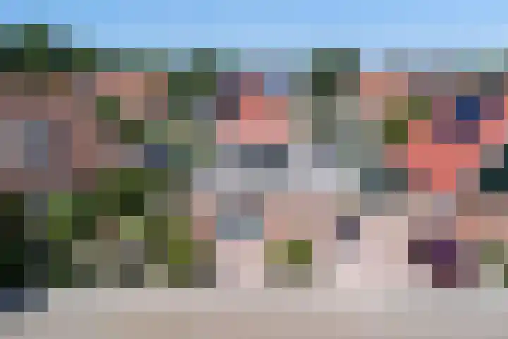 Boarskulp 16 Stiens thumbnail 44
