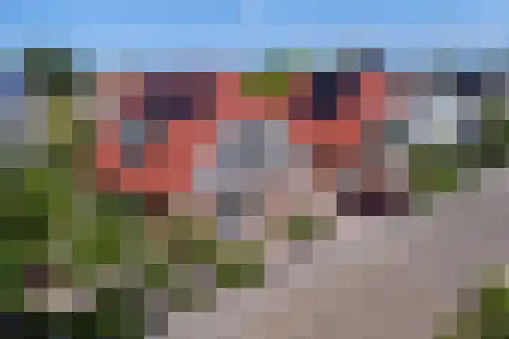 Boarskulp 16 Stiens thumbnail 45