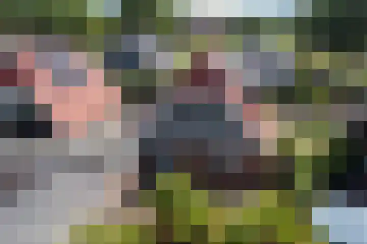 Boarskulp 16 Stiens thumbnail 48