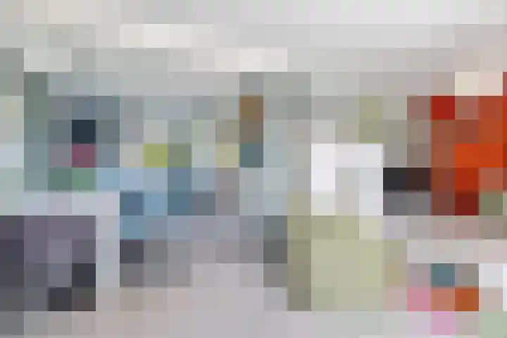 Boarskulp 16 Stiens thumbnail 5