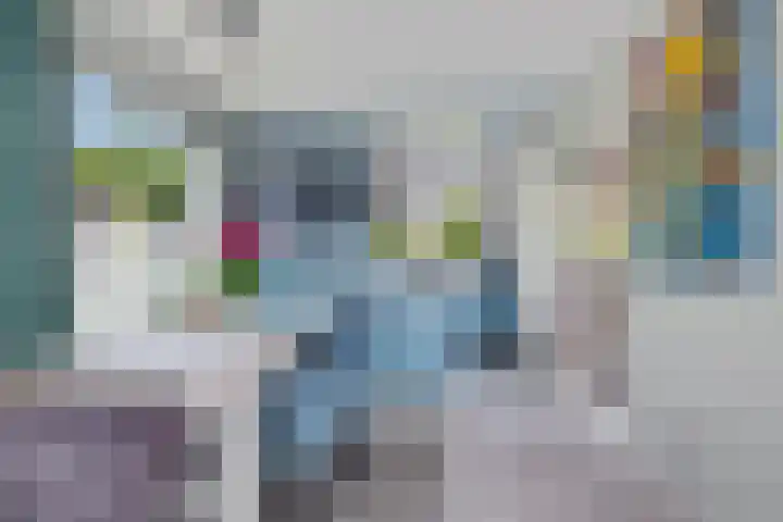 Boarskulp 16 Stiens thumbnail 6