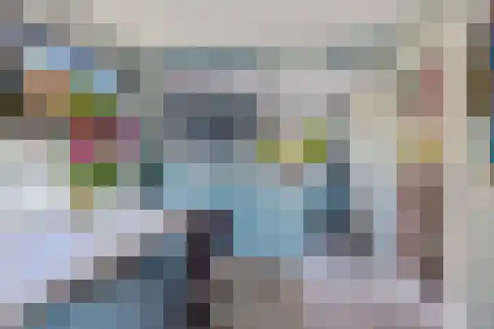 Boarskulp 16 Stiens thumbnail 7