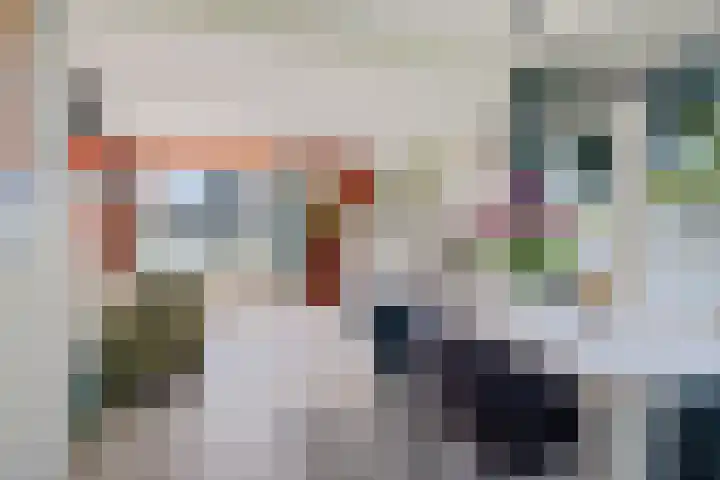 Boarskulp 16 Stiens thumbnail 8