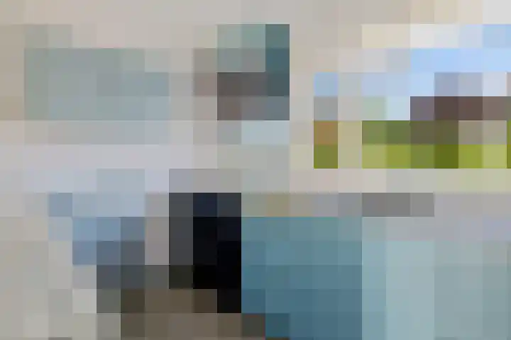 Boarskulp 16 Stiens thumbnail 9