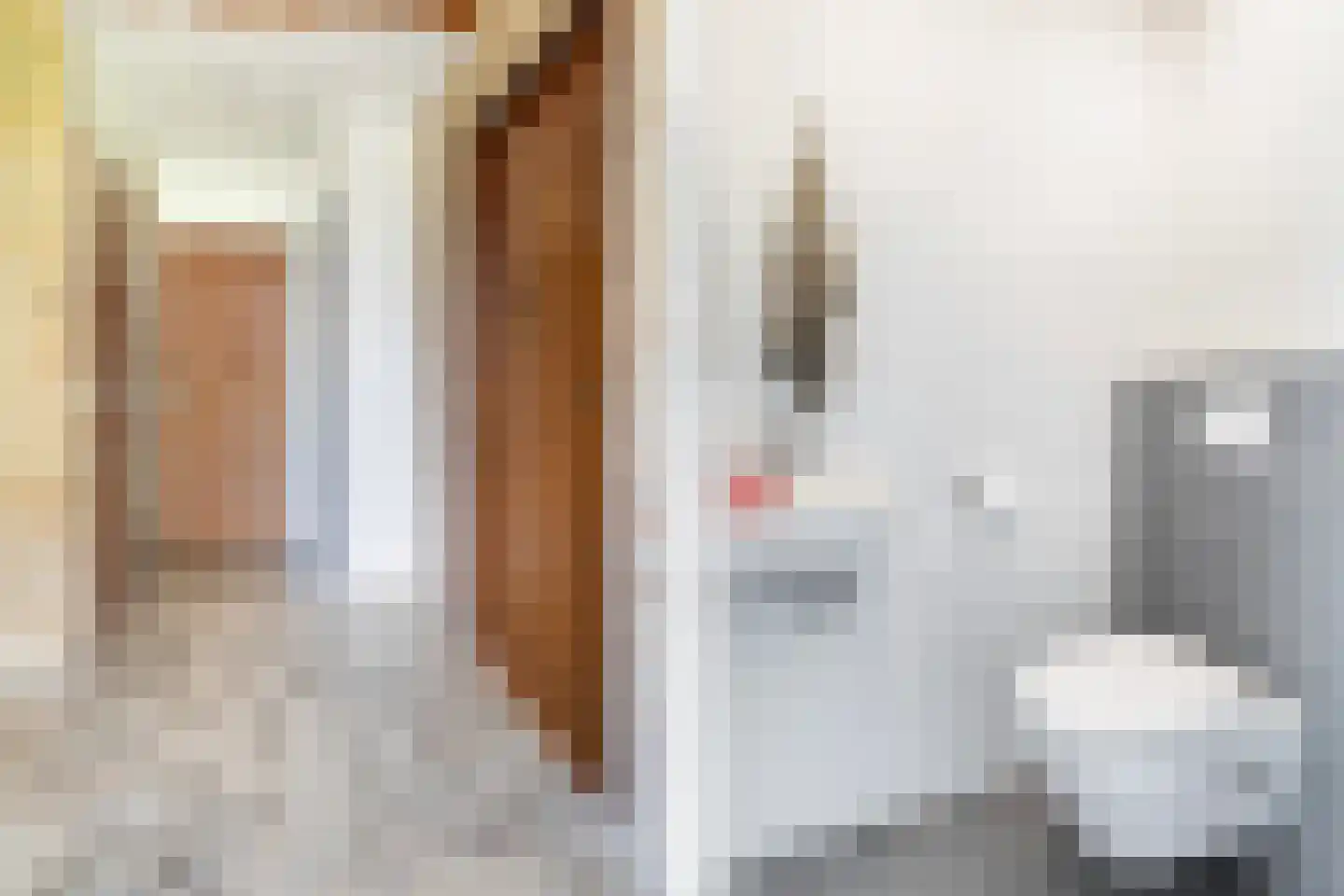 Boarskulp 5 Stiens thumbnail 16