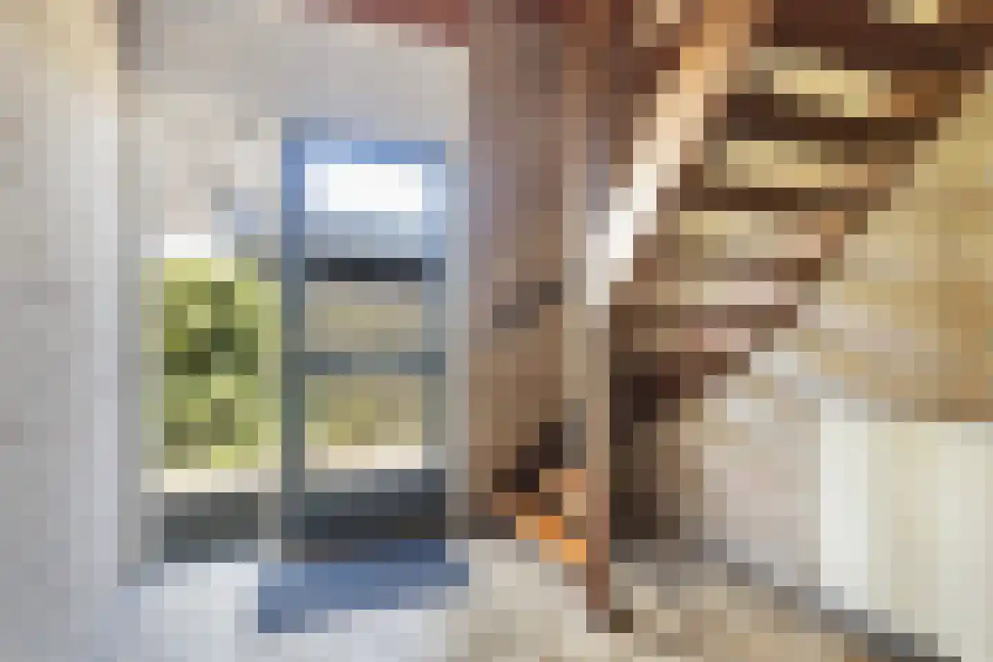 Boarskulp 5 Stiens thumbnail 17