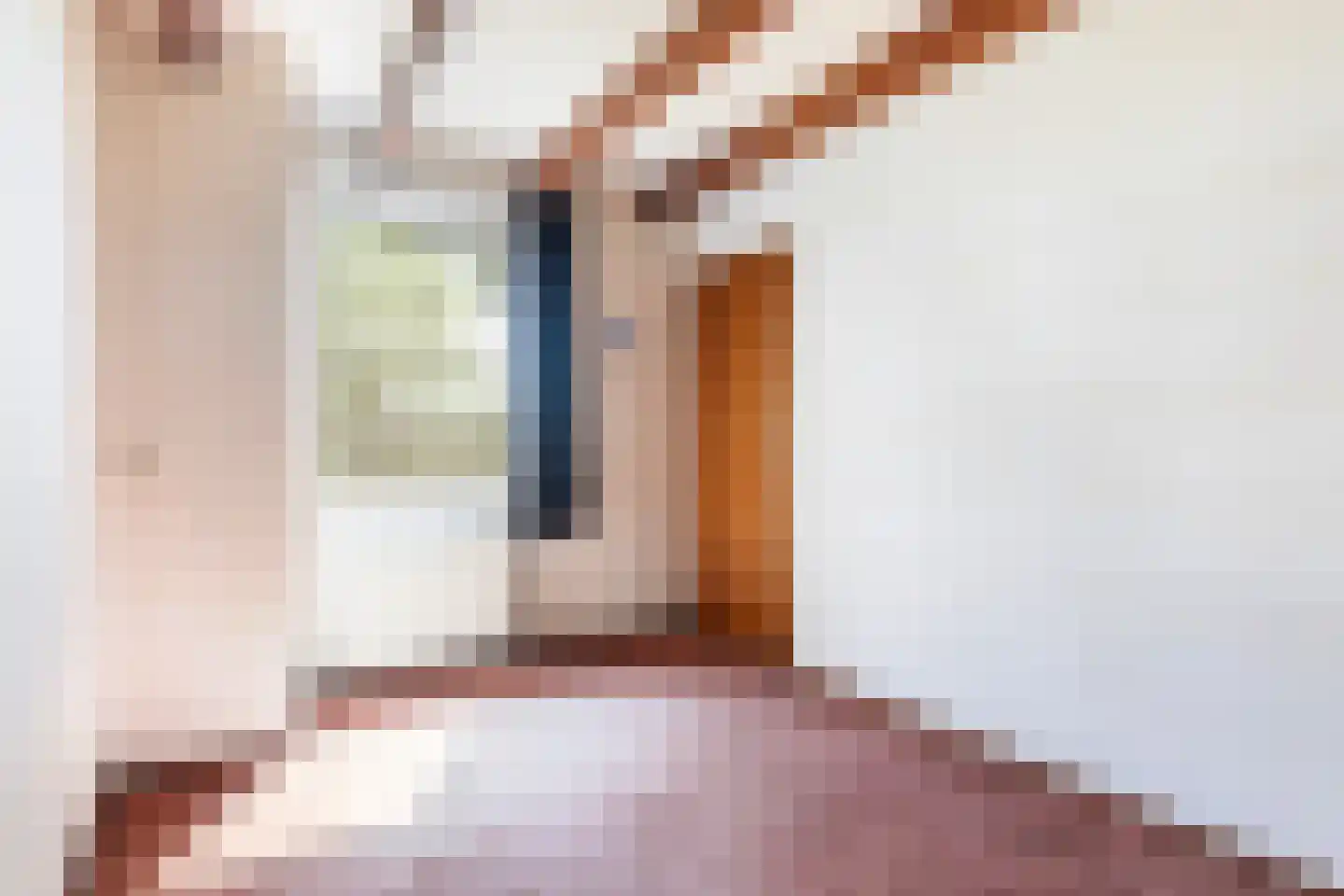 Boarskulp 5 Stiens thumbnail 22