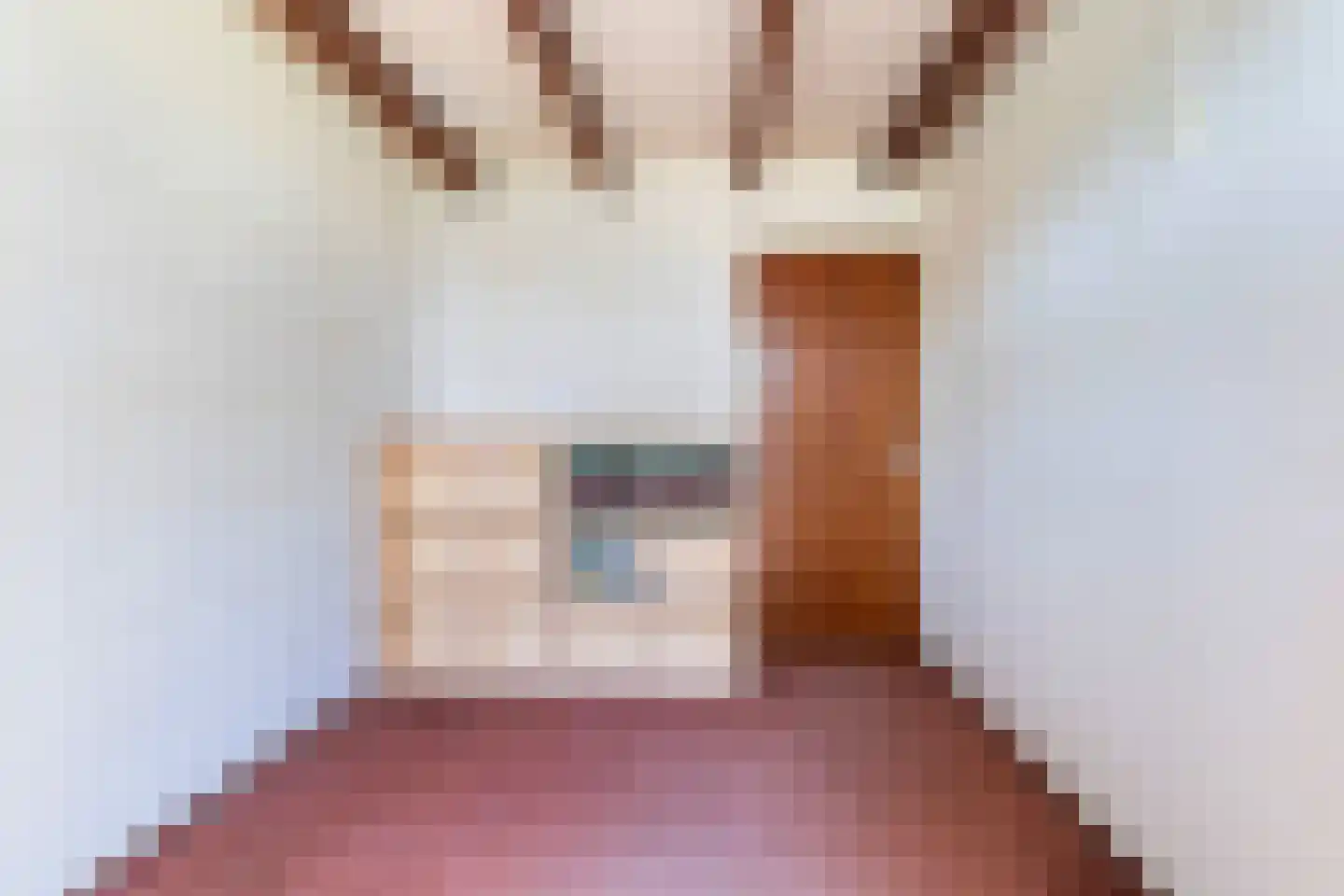 Boarskulp 5 Stiens thumbnail 23