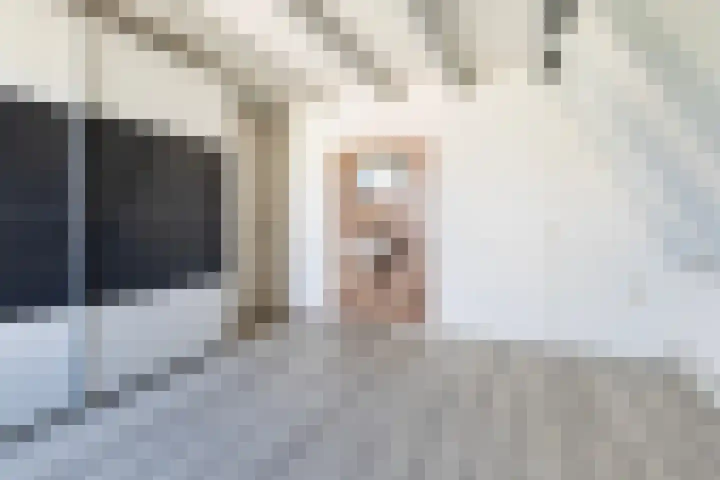 Boarskulp 5 Stiens thumbnail 27