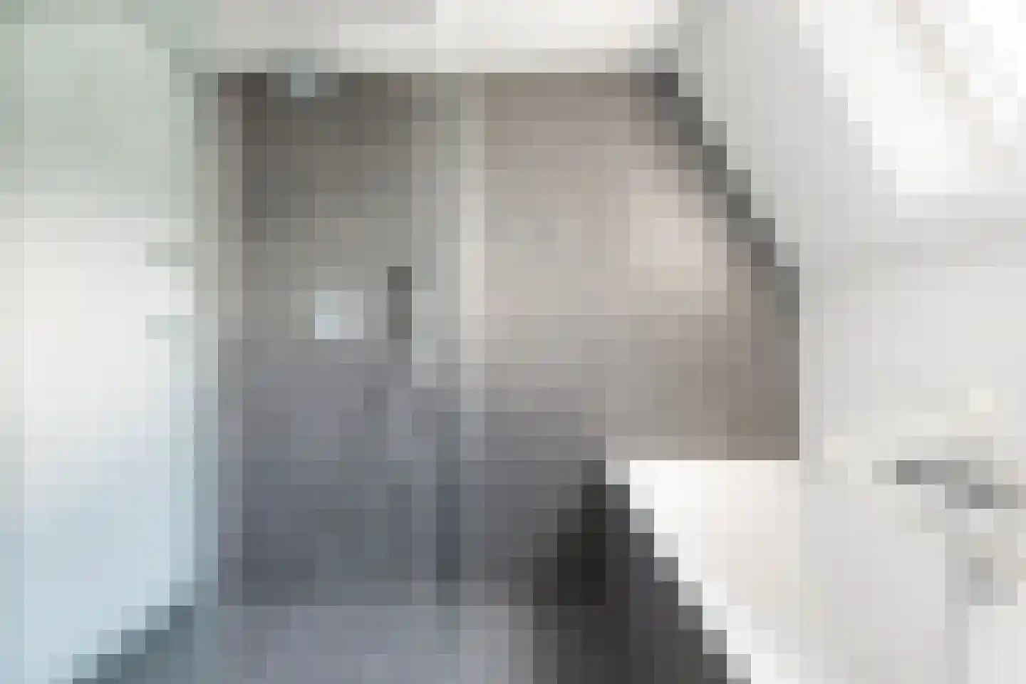 Boarskulp 5 Stiens thumbnail 28