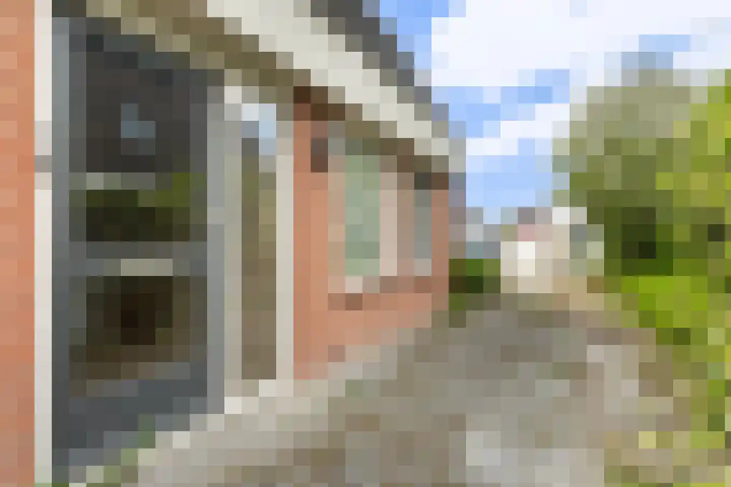 Boarskulp 5 Stiens thumbnail 35