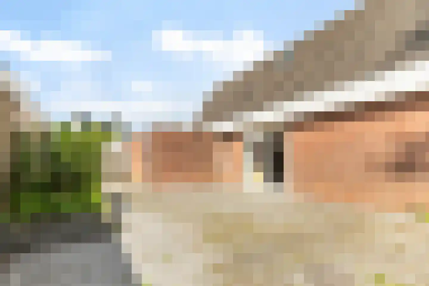 Boarskulp 5 Stiens thumbnail 36
