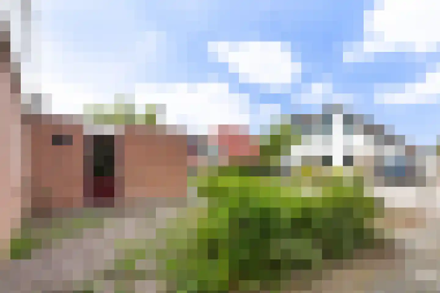 Boarskulp 5 Stiens thumbnail 37