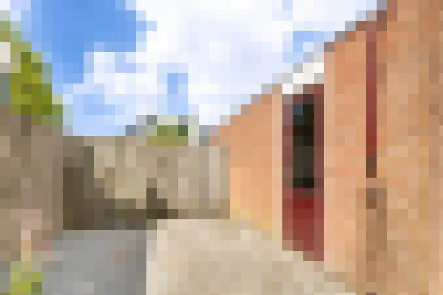 Boarskulp 5 Stiens thumbnail 38